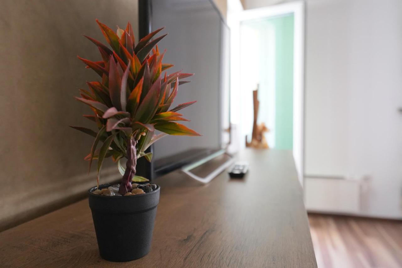 Serbona apartment Kladovo Bagian luar foto